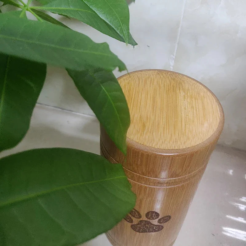 Carved Custom Bamboo Pet Urn Cremation Cute Cat Dog Paws S-L Size Puppy Kitten Ashe for Urn Funeral Supplies Pet Dog Accessories