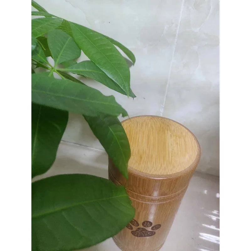 Carved Custom Bamboo Pet Urn Cremation Cute Cat Dog Paws S-L Size Puppy Kitten Ashe for Urn Funeral Supplies Pet Dog Accessories